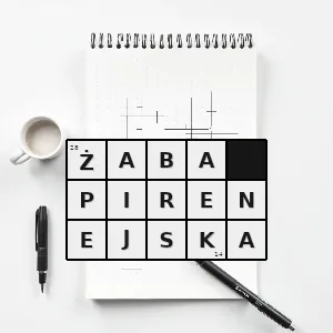 Hasło krzyżówkowe pelophylax perezi gatunek płaza bezogonowego z rodziny żabowatych - żaba pirenejska – rozwiązanie, synonimy, podpowiedzi i definicje krzyżówkowe